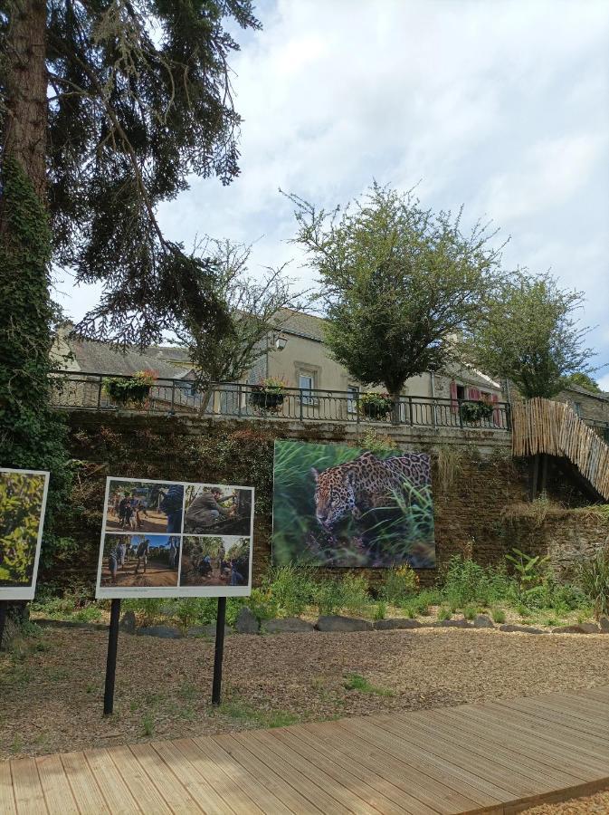 Panoramique Floral Centre Festival Photo Apartman La Gacilly Kültér fotó
